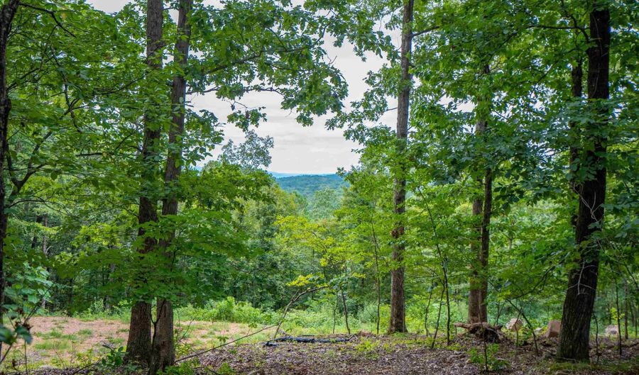 100 Block SPANISH MINE, Jessieville, AR 71909 - 0 Beds, 0 Bath