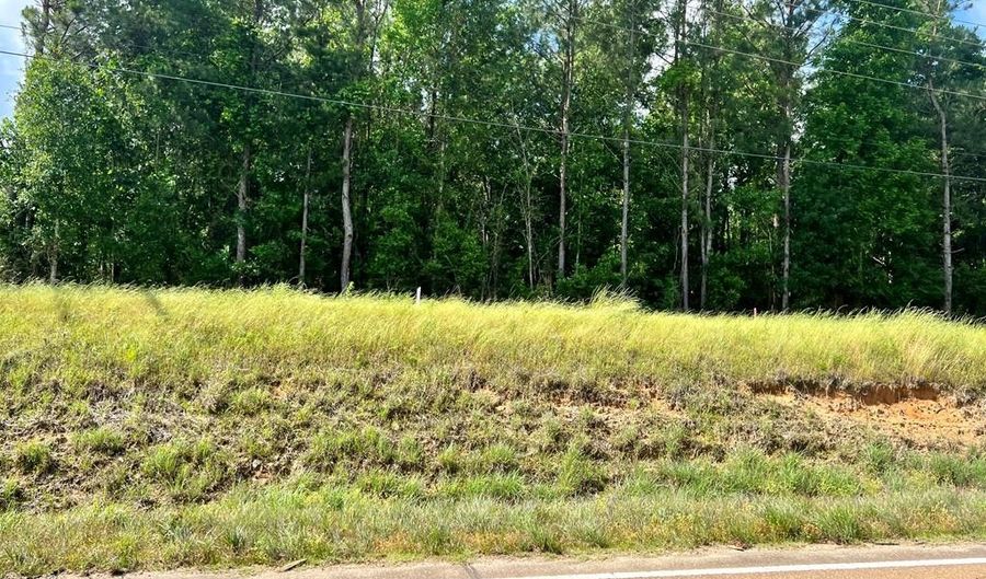 LOT 5 HWY 24, Centreville, MS 39631 - 0 Beds, 0 Bath