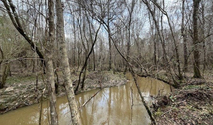 920 B Auburn Dr, Bogue Chitto, MS 39629 - 0 Beds, 0 Bath