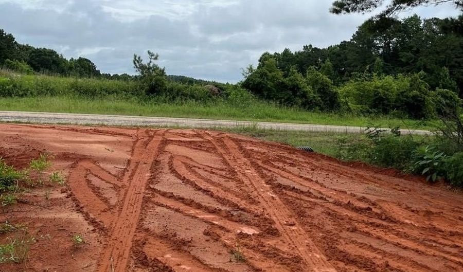 01 Parcel 2 County Road 6629, Banks, AL 36005 - 0 Beds, 0 Bath