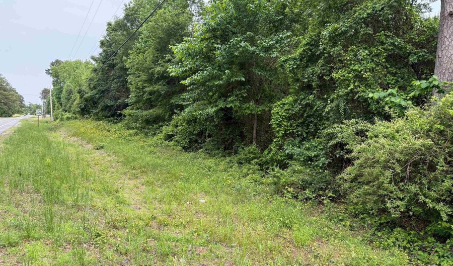 TBD Pine Street, Arkadelphia, AR 71923 - 0 Beds, 0 Bath