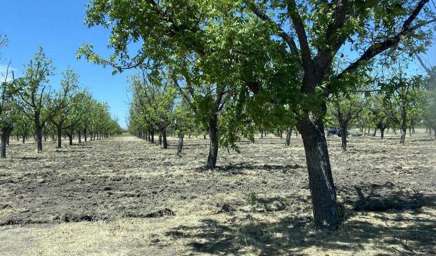 841 Aldaz, Anthony, NM 88021 - 0 Beds, 0 Bath