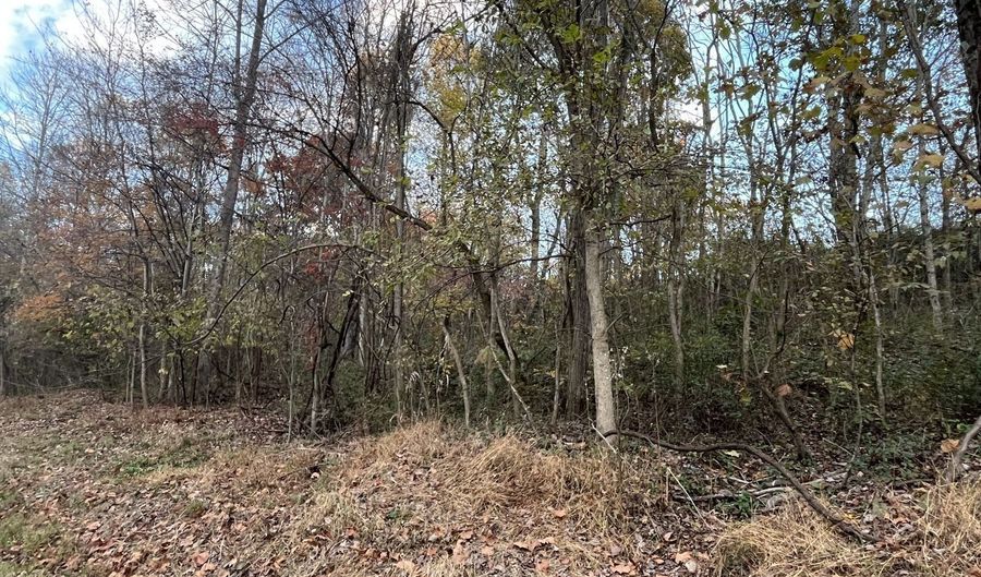 Sand Ridge Rd, Albany, OH 45710 - 0 Beds, 0 Bath