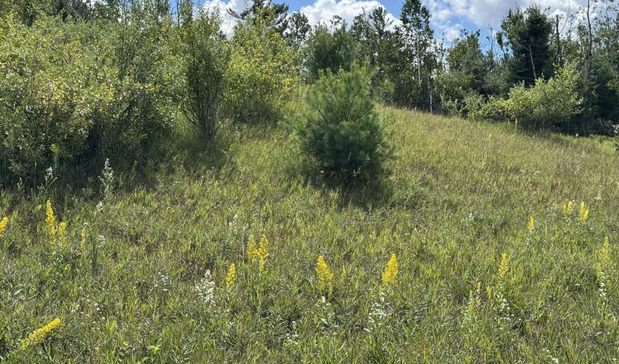 V/L13.25AC Co Rd 612 & Ann Arbor Rd, Lewiston, MI 49756 - 0 Beds, 0 Bath