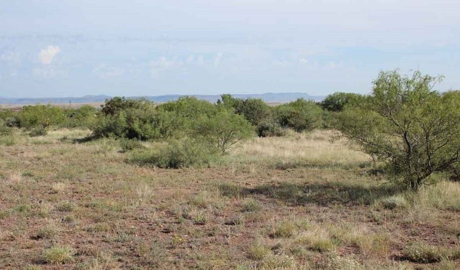 Tract 34 Sierra La Rana, Alpine, TX 79830 - 0 Beds, 0 Bath
