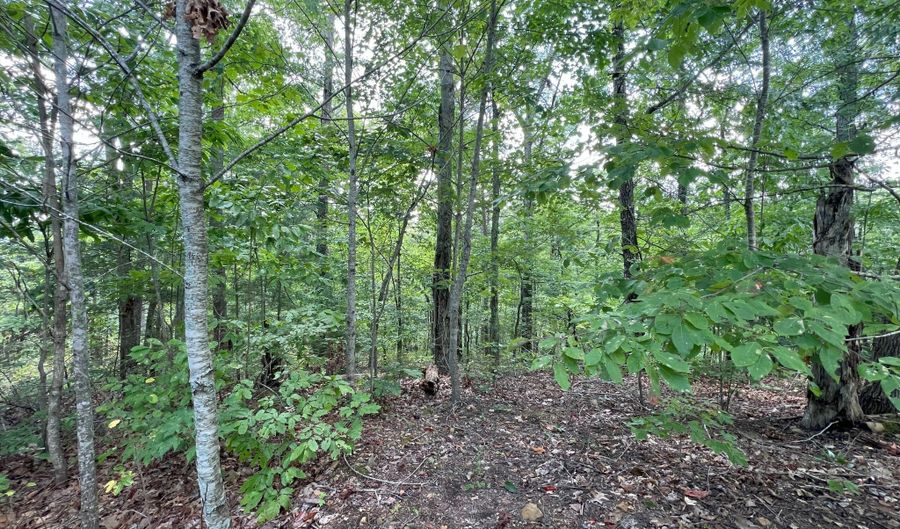 Lot 14 Bayside Boulevard, Bean Station, TN 37708 - 0 Beds, 0 Bath