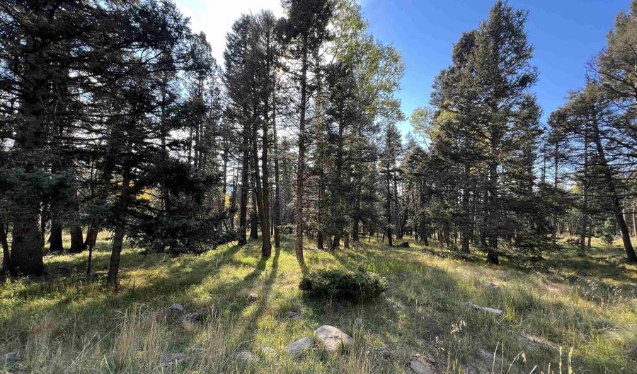 Lot 1319 Pleasant Valley Overlook, Angel Fire, NM 87710 - 0 Beds, 0 Bath