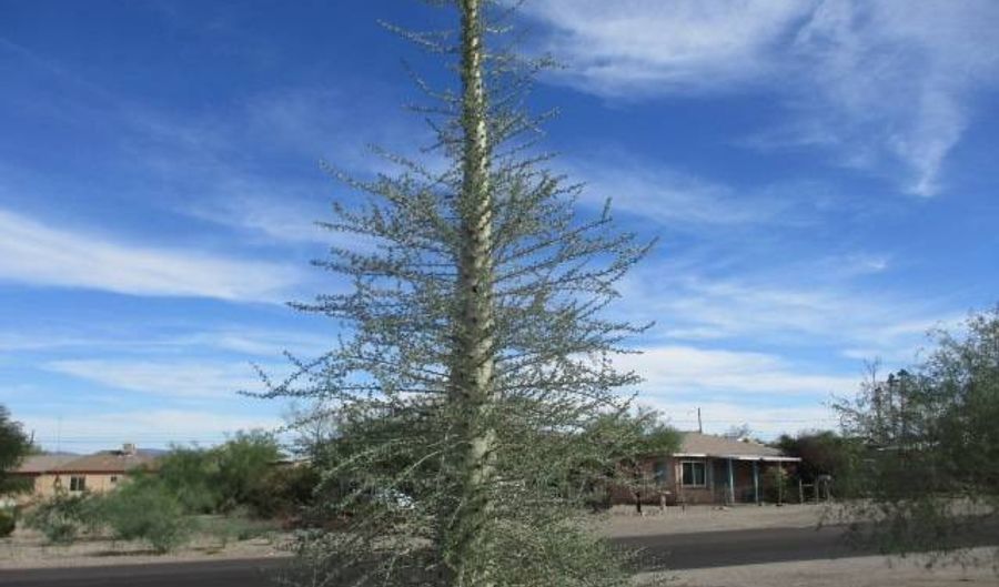 1245 N. Sartillion Ave, Ajo, AZ 85321 - 3 Beds, 2 Bath