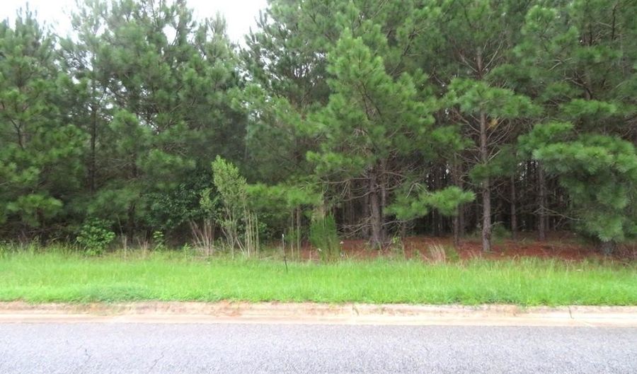 Lot 9 Carolina Crossroads, Roanoke Rapids, NC 27870 - 0 Beds, 0 Bath