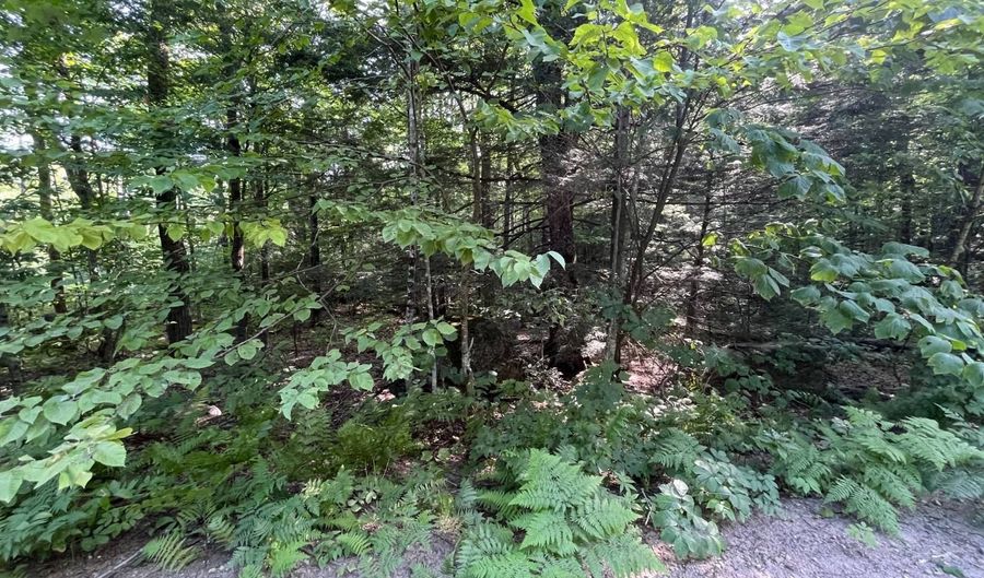 1695 Washburn Rd, Alexandria, NH 03222 - 0 Beds, 0 Bath