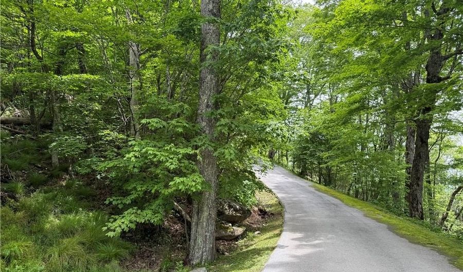 Tbd Wakeman Way, Banner Elk, NC 28604 - 0 Beds, 0 Bath