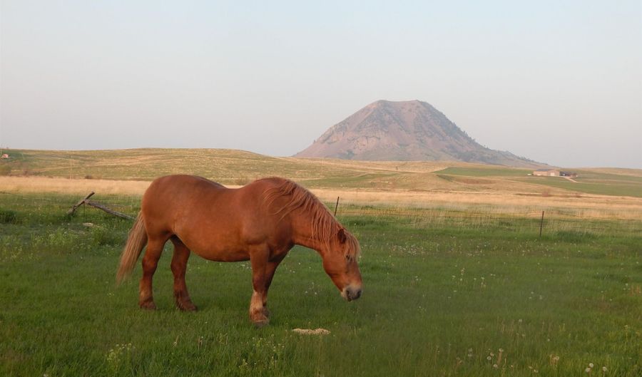 RR Bear Butte Road, Sturgis, SD 57785 - 0 Beds, 0 Bath