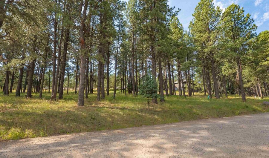 Lot 1127 Spyglass Hill Rd, Angel Fire, NM 87710 - 0 Beds, 0 Bath