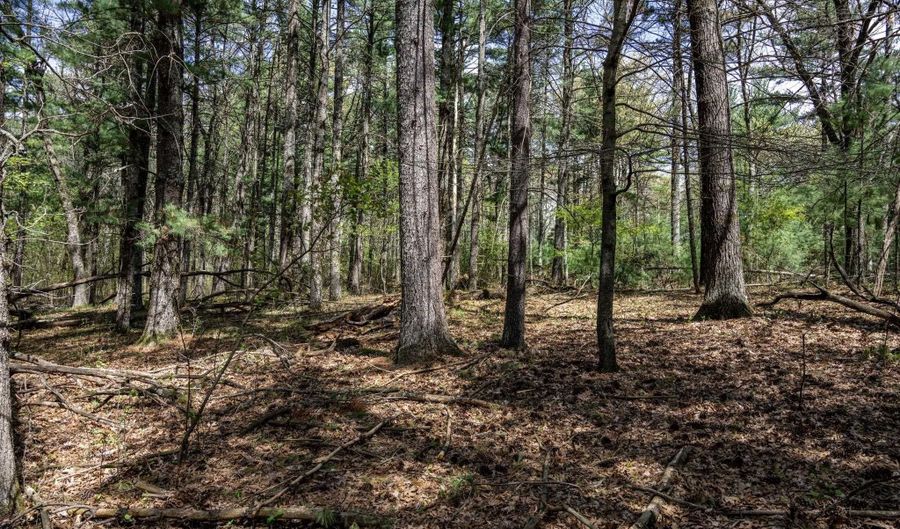 S Badger Lane lot 38, Arkdale, WI 54613 - 0 Beds, 0 Bath