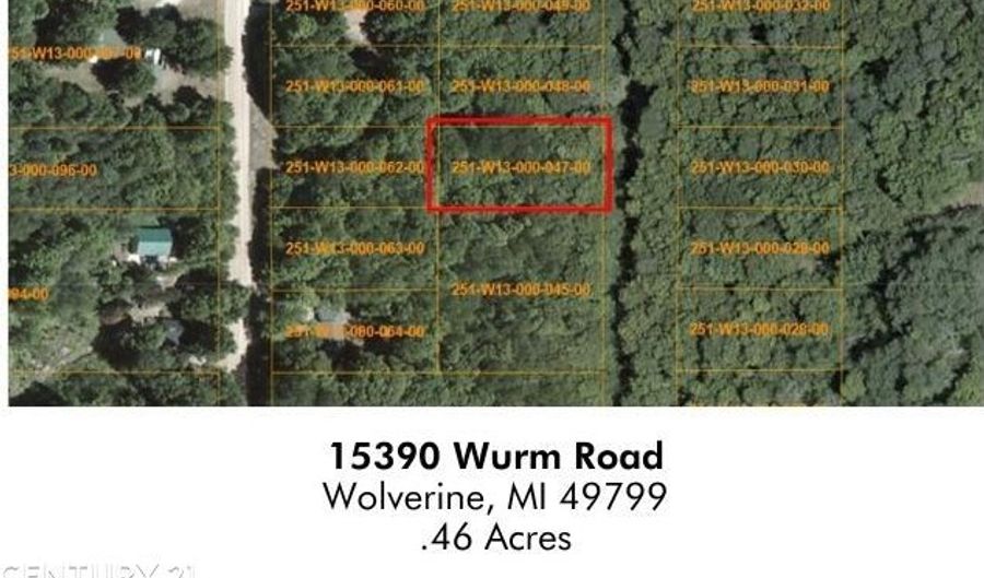 15390 Wurm Rd, Wolverine, MI 49799 - 0 Beds, 0 Bath