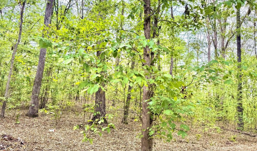 0 Peregrine Rise Dr, Big Sandy, TN 38221 - 0 Beds, 0 Bath