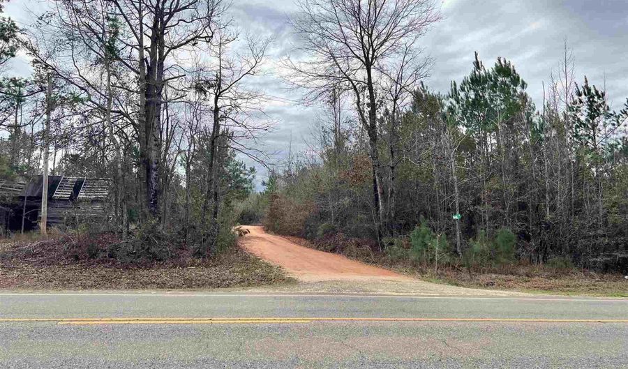21000 Block Hwy 21, Beatrice, AL 36425 - 0 Beds, 0 Bath