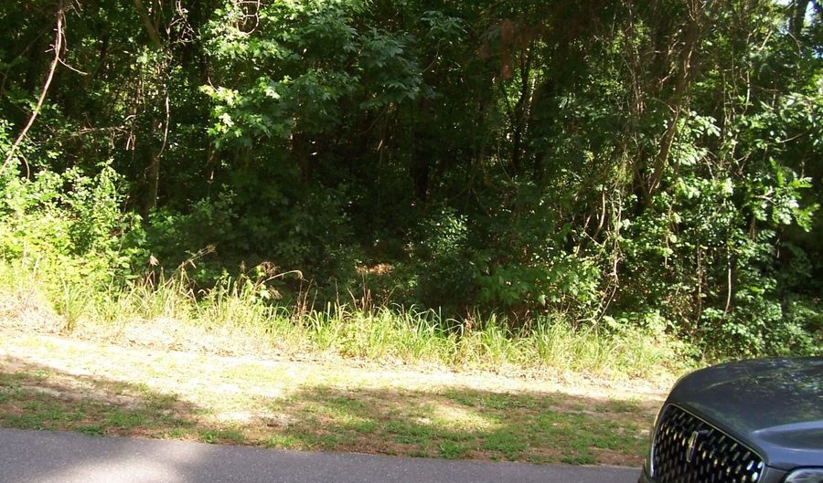 1310 Fifteen Mile Landing Rd, Awendaw, SC 29429 - 0 Beds, 0 Bath