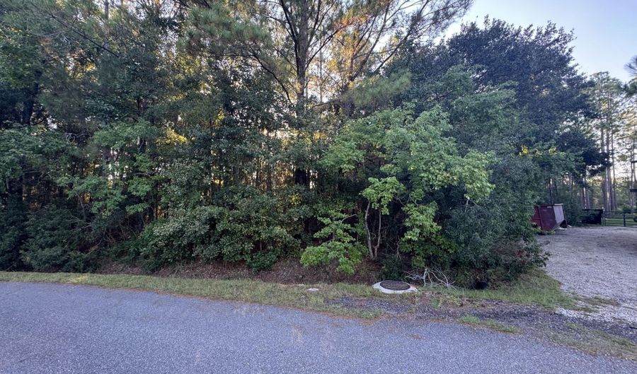 9079 Iris St, Bay St. Louis, MS 39520 - 0 Beds, 0 Bath