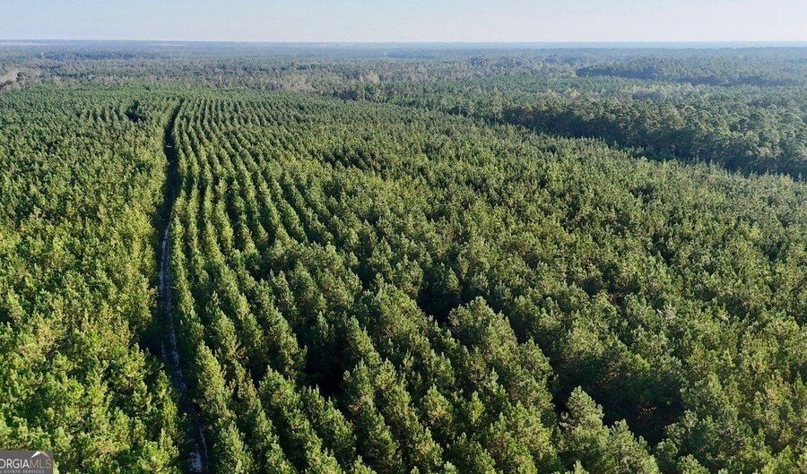 Penny Morris Road, Baxley, GA 31513 - 0 Beds, 0 Bath