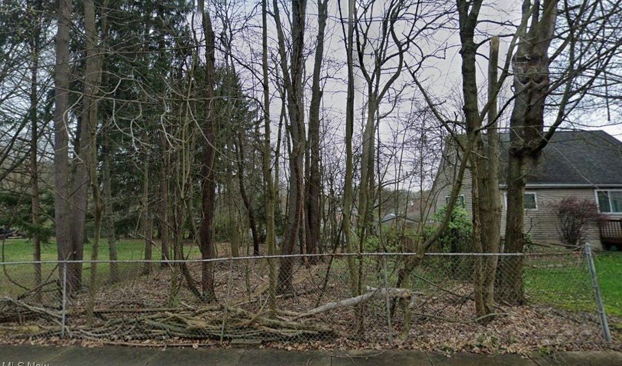 Burbank Avenue lot 2, Akron, OH 44305 - 0 Beds, 0 Bath