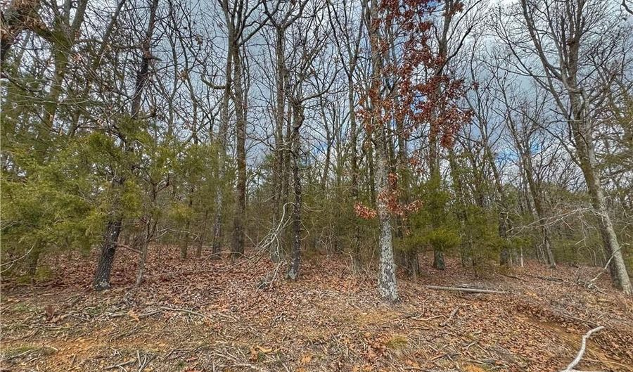 0 Bells Chapel Rd, Atkins, AR 72823 - 0 Beds, 0 Bath