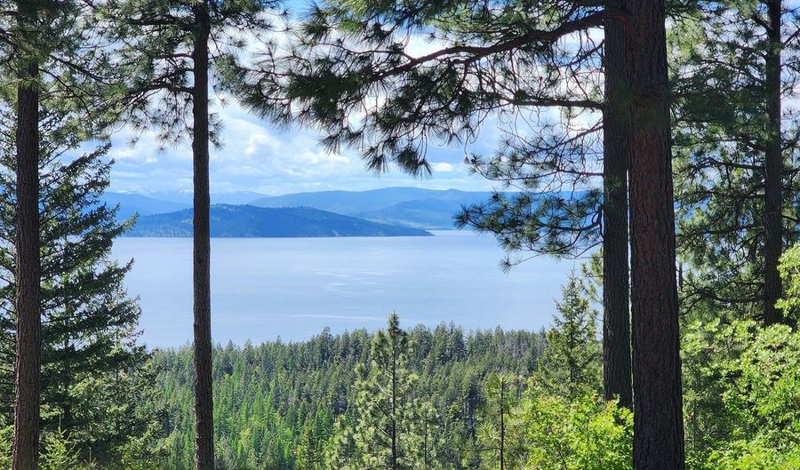 31683 Lake To Sky Dr, Bigfork, MT 59911 - 2 Beds, 1 Bath
