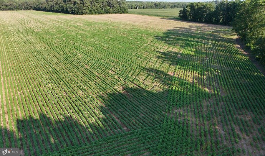 PARCEL B RUSSELL Road, Bridgeville, DE 19933 - 0 Beds, 0 Bath