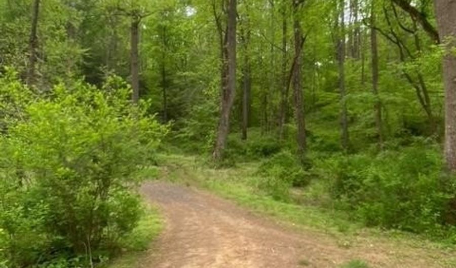 NEW MOUNTAIN Road, Aldie, VA 20105 - 0 Beds, 0 Bath