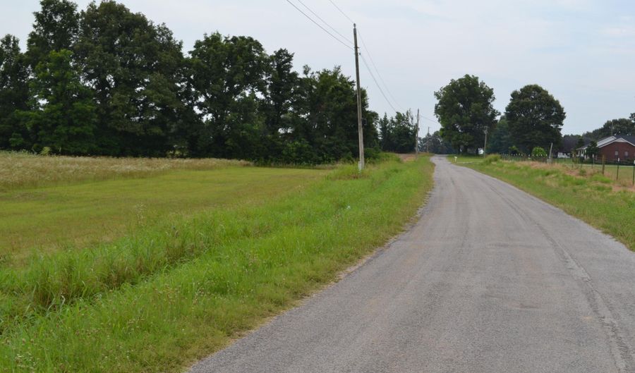 376 D O Laman Rd, Alamo, TN 38001 - 0 Beds, 0 Bath