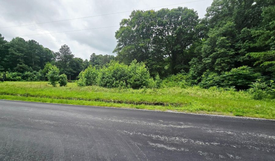 LOT 1 WHITNEY SWAMP ROAD, Bridgeville, DE 19933 - 0 Beds, 0 Bath