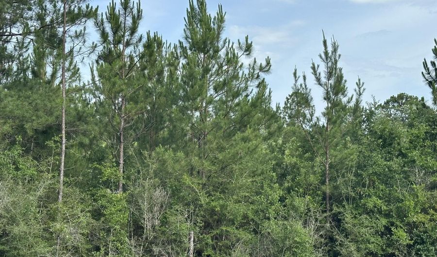 Parcel E Old River Road, Baker, FL 32531 - 0 Beds, 0 Bath