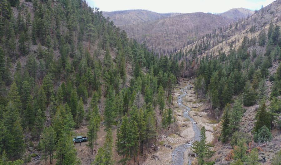 122 Black Hollow Rd, Bellvue, CO 80512 - 0 Beds, 0 Bath