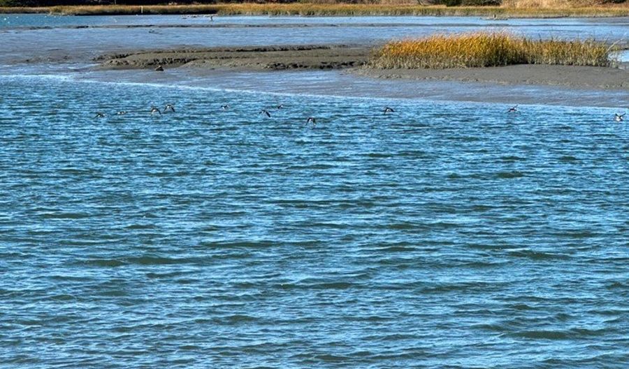 Lot 19 FOLLY CREEK CLUB LN, Accomac, VA 23301 - 0 Beds, 0 Bath