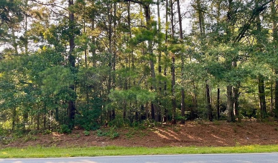 Hwy 221 S, Bradley, SC 29819 - 0 Beds, 0 Bath