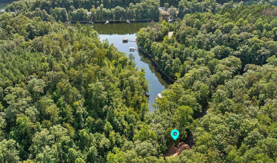 1031 CO RD 4030, Arley, AL 35541 - 5 Beds, 4 Bath