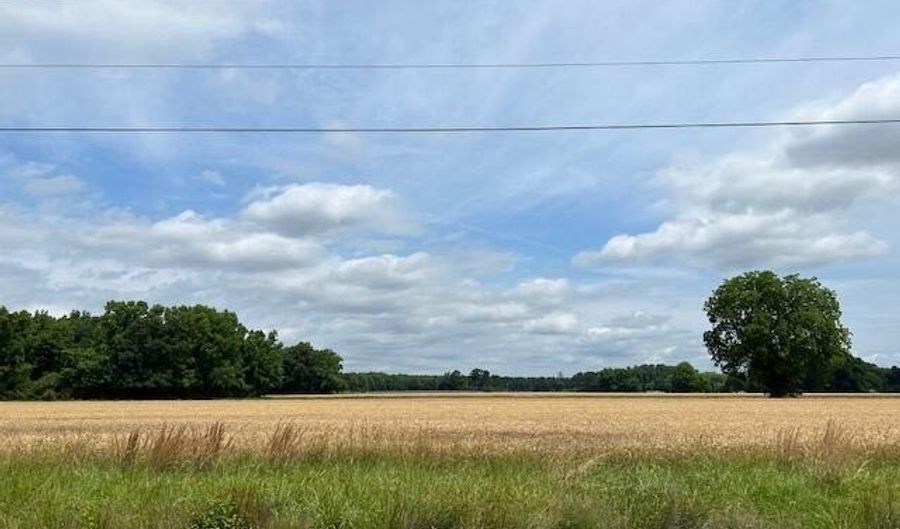 Tbd Hertford County High Road, Ahoskie, NC 27910 - 0 Beds, 0 Bath