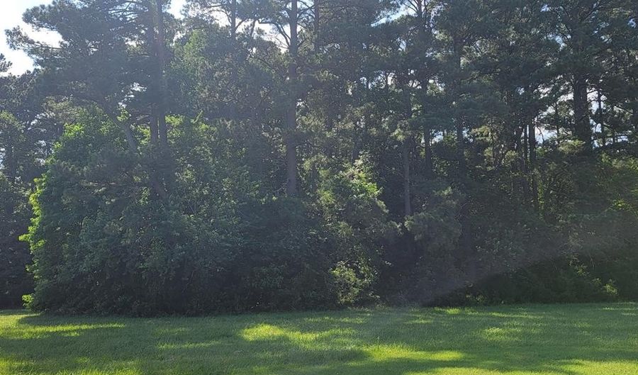 Lot 67 ATLANTIC ST, Accomac, VA 23301 - 0 Beds, 0 Bath