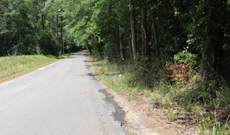 00 Pinola Braxton Rd, Braxton, MS 39044 - 0 Beds, 0 Bath