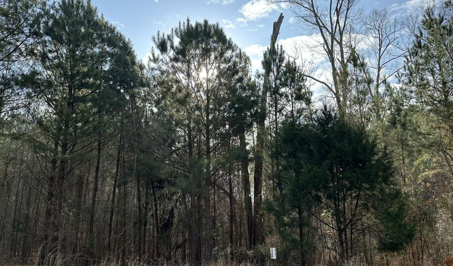 1106 LONGLEAF Way, Lincolnton, GA 30817 - 0 Beds, 0 Bath