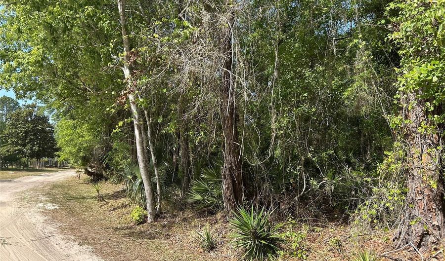 AIRPORT ROAD, Astor, FL 32102 - 0 Beds, 0 Bath