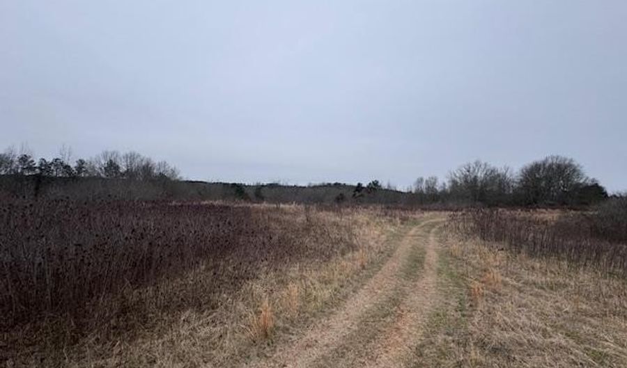 68 GENTRY Dr 37± Acres, Ashland, AL 36251 - 0 Beds, 0 Bath