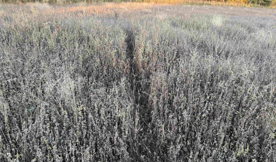 Lot 3 EAU CLAIRE RIVER ROAD, Aniwa, WI 54408 - 0 Beds, 0 Bath