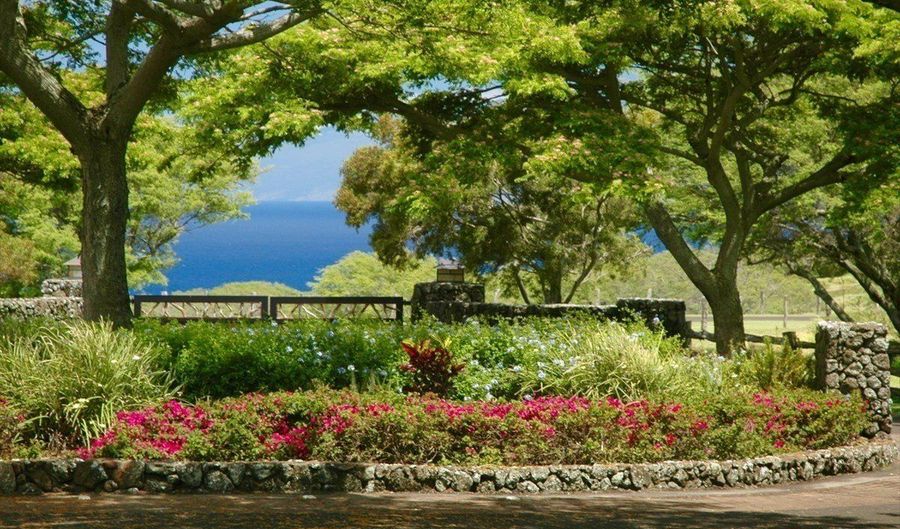 56-113 PUALANI Rd, Hawi, HI 96719 - 0 Beds, 0 Bath