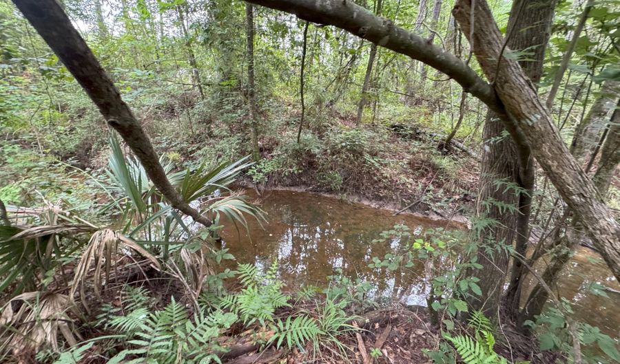 32505 Chapel Pine Drive Lot Cdt4, Albany, LA 70711 - 0 Beds, 0 Bath