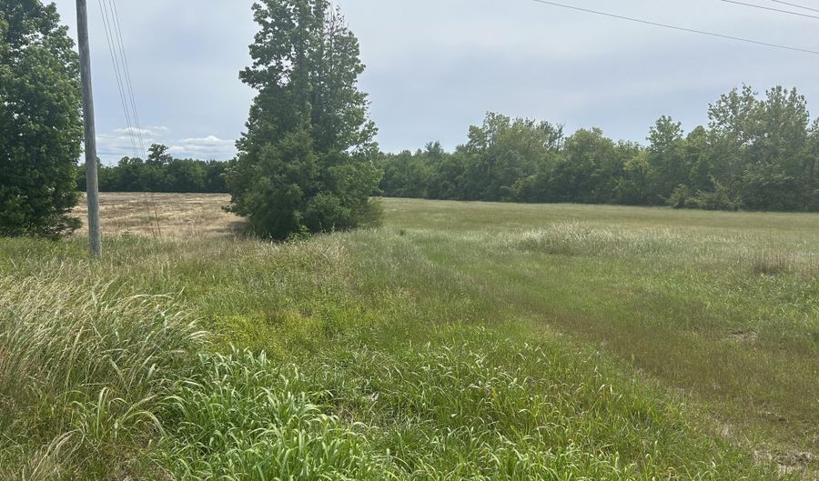 U.S. 45, Baldwyn, MS 38824 - 0 Beds, 0 Bath