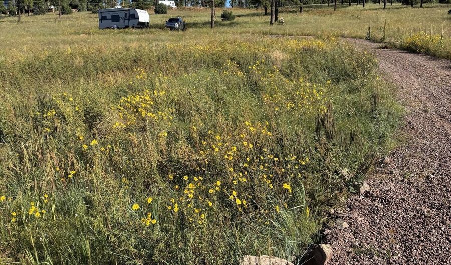Lot 32 The Ranch at Alpine, Alpine, AZ 85920 - 0 Beds, 0 Bath