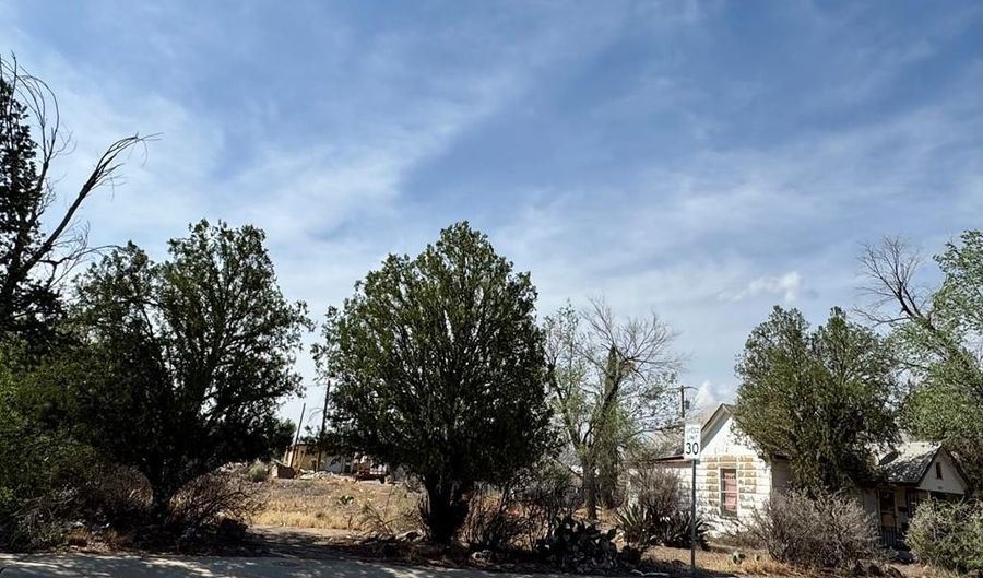 708 W Ave E, Alpine, TX 79830 - 2 Beds, 1 Bath