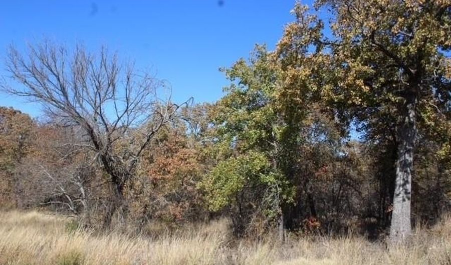 450 Rolling Hills Blvd, Alvord, TX 76225 - 0 Beds, 0 Bath