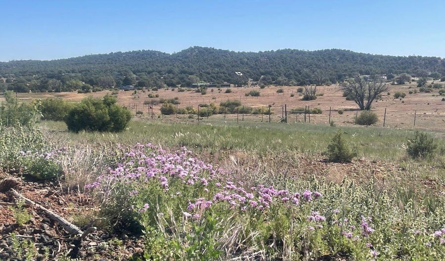 1751 Forest Service Rd 163, Clay Springs, AZ 85923 - 0 Beds, 0 Bath